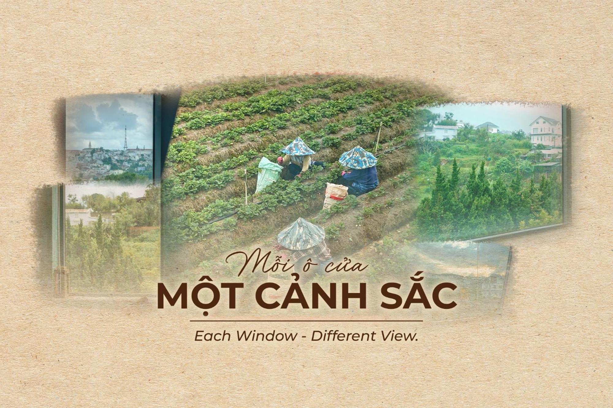 Hanoi Amsterdam Art Studio Да Лат Екстериор снимка